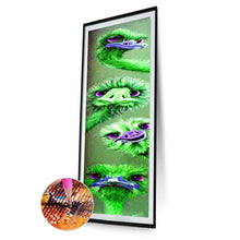 Load image into Gallery viewer, Ostrich  - Full Drill Round Drill - 25x115cm