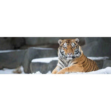 Load image into Gallery viewer, Tiger Animal Kid - Full Drill Round Drill - 80x30cm