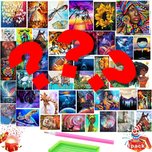 Load image into Gallery viewer, BIG SALE Blind Box Random Diamond Painting