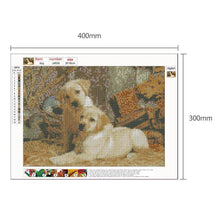 Load image into Gallery viewer, Dogs - Full Drill Round Drill - 40x30cm