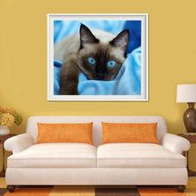 Load image into Gallery viewer, Blue Eye Cat - Full Drill Round Drill - 40x30cm
