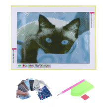 Load image into Gallery viewer, Blue Eye Cat - Full Drill Round Drill - 40x30cm
