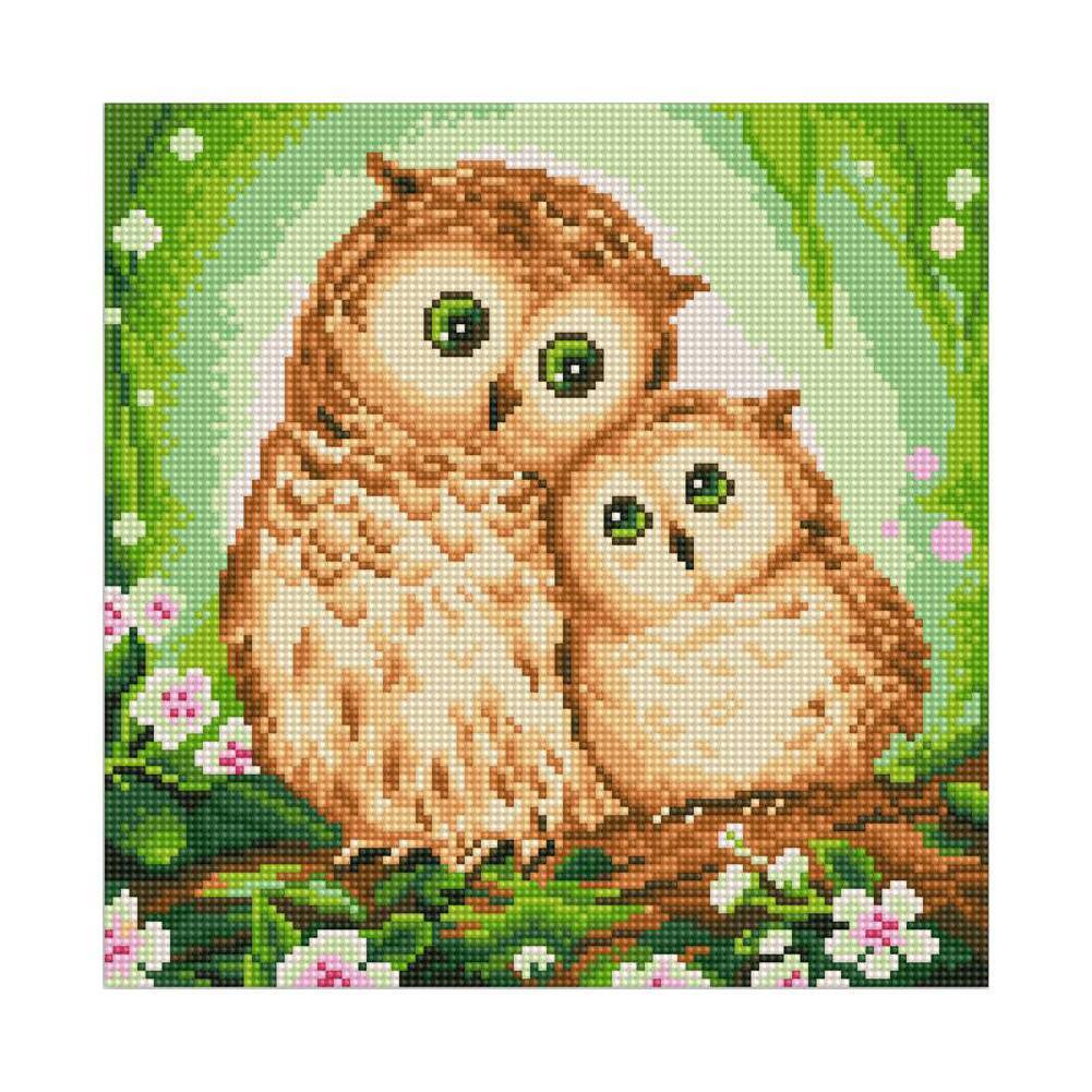 Two Owls - Full Drill Round Drill - 30x30cm