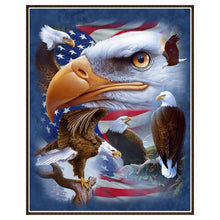 Load image into Gallery viewer, Eagle  - Full Diamond Painting - 30x25cm
