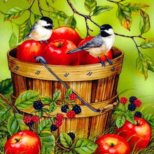 Load image into Gallery viewer, Fruits Birds  - Full Diamond Painting - 30x30cm
