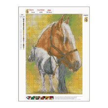 Load image into Gallery viewer, Horse - Full Drill Round Drill - 30x40cm
