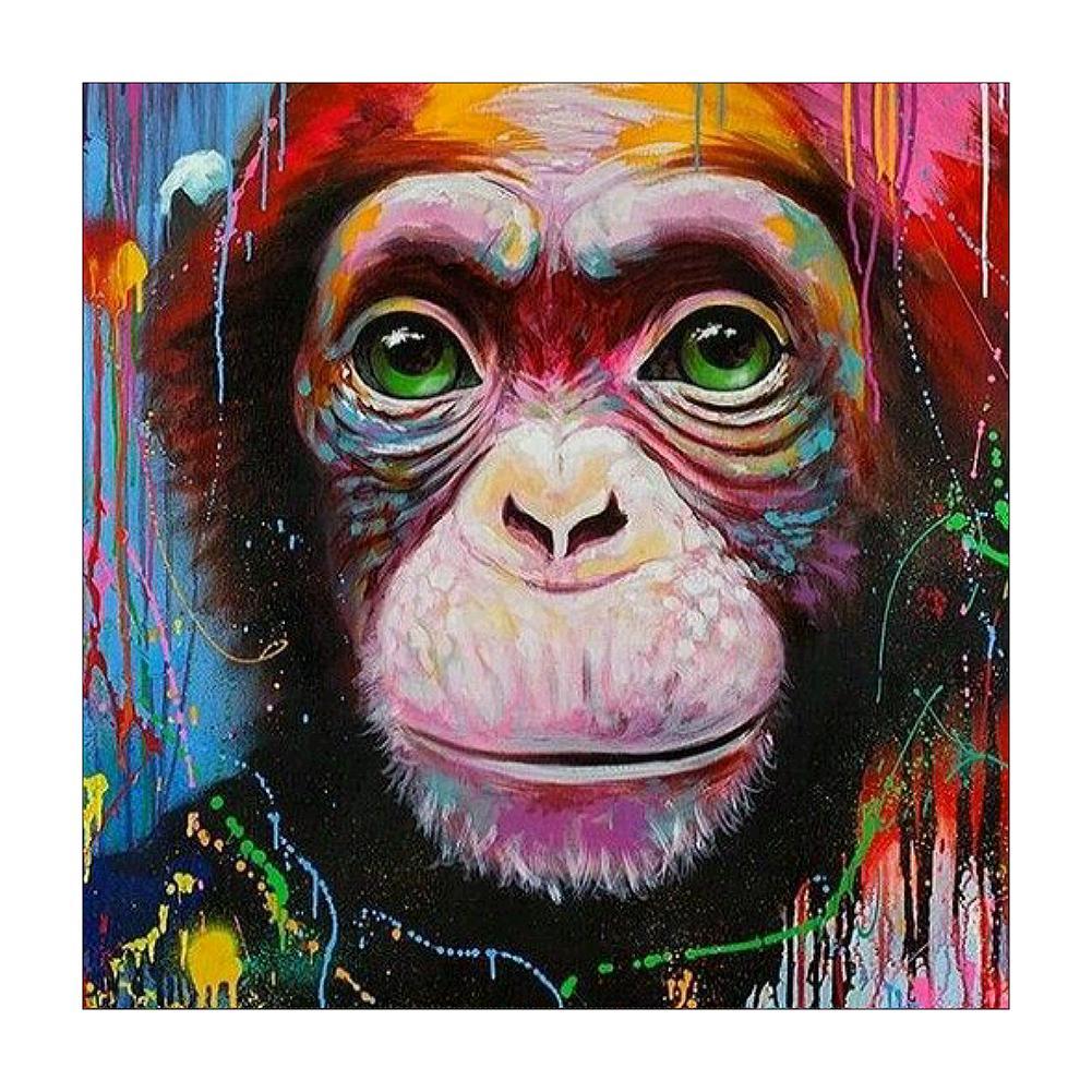 Monkey Animal  - Full Diamond Painting - 30x30cm