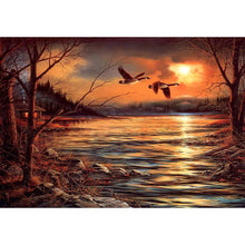 Load image into Gallery viewer, Sunset Bird Lake - Full Drill Round Drill - 40x30cm
