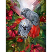 Load image into Gallery viewer, Parrots Birds - Full Drill Round Drill - 40x30cm
