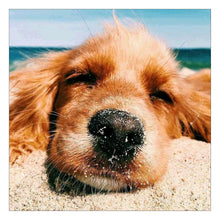 Load image into Gallery viewer, Dog  - Full Diamond Painting - 30x30cm
