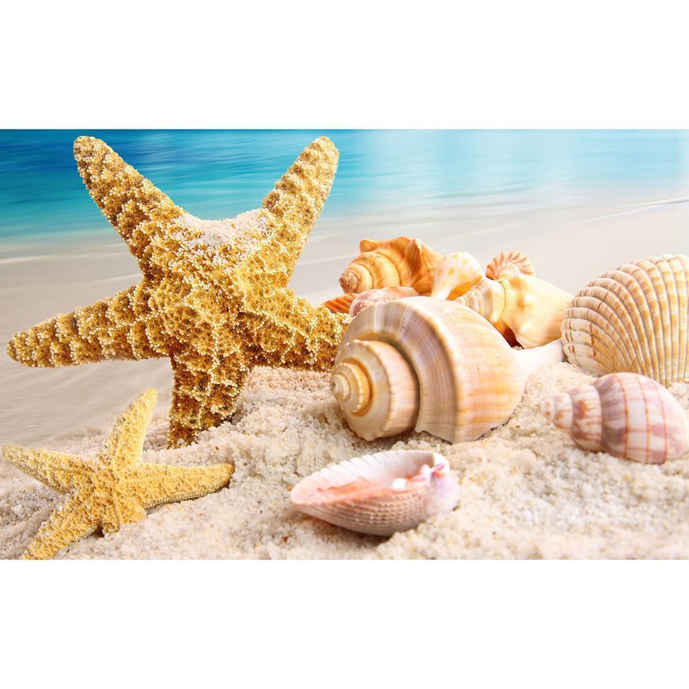 Conch - Full Drill Round Drill - 40x30cm