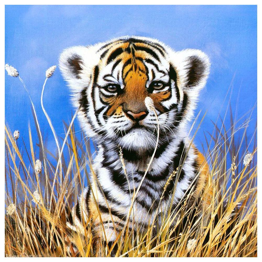 Small Tiger  - Full Diamond Painting - 30x30cm