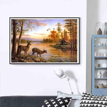 Load image into Gallery viewer, Cute Animals  - Full Drill Round Drill - 40x30cm
