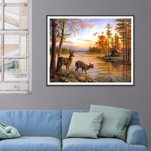 Load image into Gallery viewer, Cute Animals  - Full Drill Round Drill - 40x30cm
