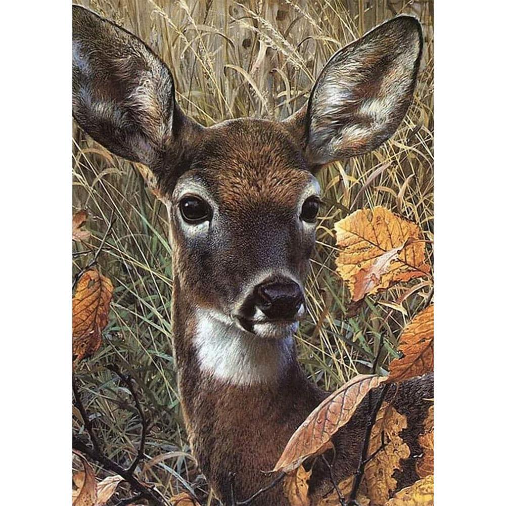 Animal - Full Drill Round Drill - 30x40cm