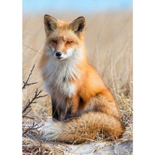 Load image into Gallery viewer, Animal - Full Drill Round Drill - 30x40cm
