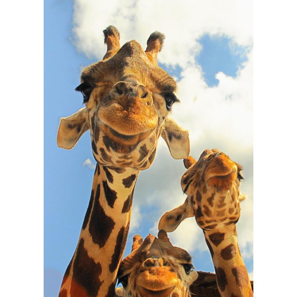 Animal - Full Drill Round Drill - 30x40cm