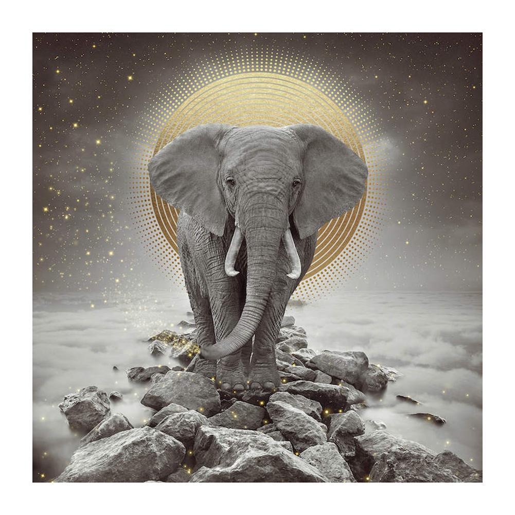 Elephant - Full Diamond Painting - 30x30cm