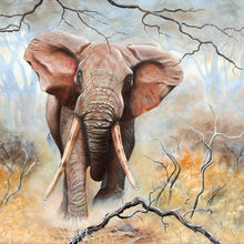 Load image into Gallery viewer, Elephant - Full Diamond Painting - 30x30cm
