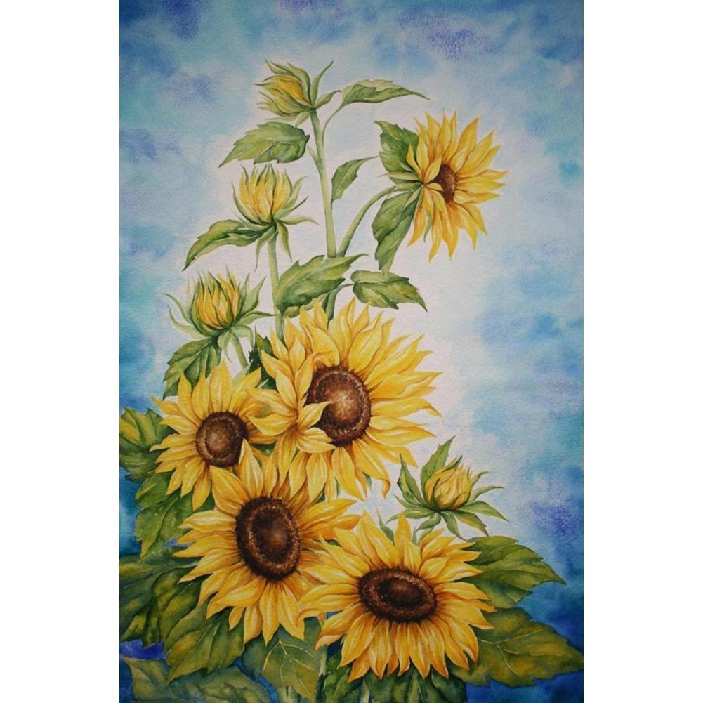 Flowers  - Full Drill Round Drill - 30x40cm