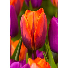 Load image into Gallery viewer, Flowers  - Full Drill Round Drill - 30x40cm
