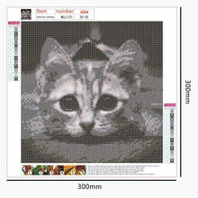 Load image into Gallery viewer, Art  - Full Drill Round Drill - 30x30cm
