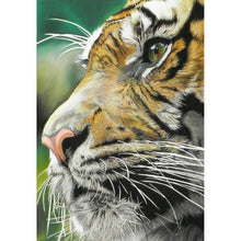 Load image into Gallery viewer, Tiger  - Full Drill Round Drill - 30x40cm
