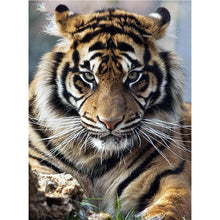 Load image into Gallery viewer, Tiger  - Full Drill Round Drill - 30x40cm

