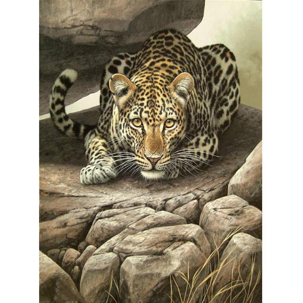 Tiger  - Full Drill Round Drill - 30x40cm