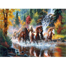 Load image into Gallery viewer, Horse  - Full Drill Round Drill - 40x30cm
