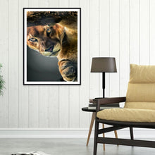 Load image into Gallery viewer, Tiger  - Full Drill Round Drill - 30x40cm
