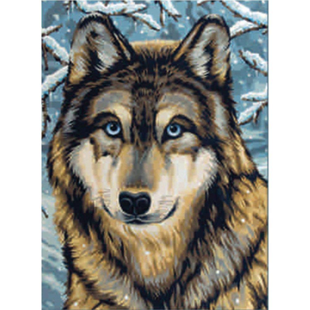 Wolf  - Full Drill Round Drill - 30x40cm