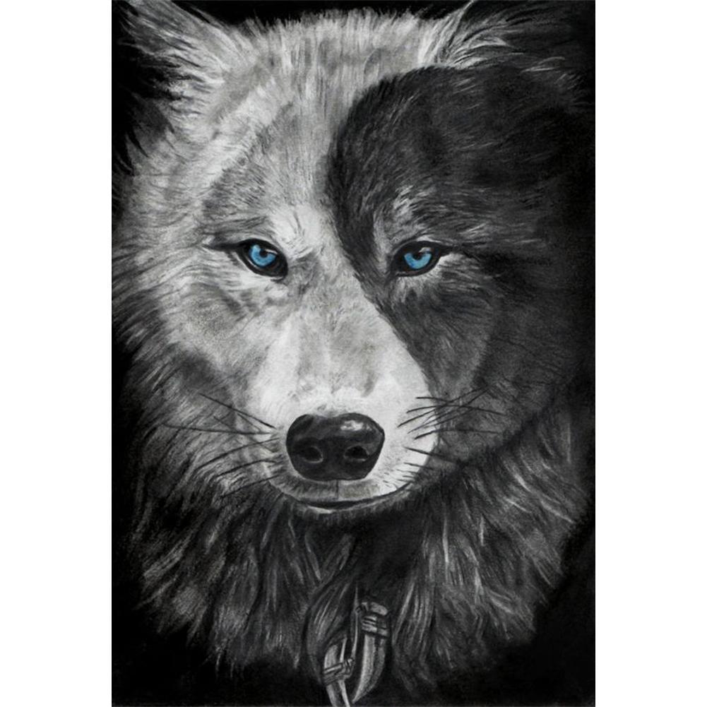 Wolf  - Full Drill Round Drill - 30x40cm