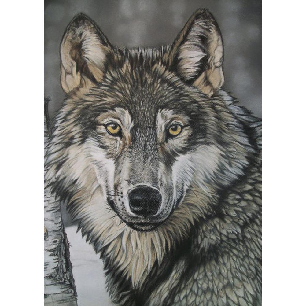 Wolf  - Full Drill Round Drill - 30x40cm