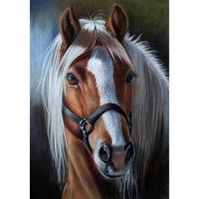 Load image into Gallery viewer, Horse  - Full Drill Round Drill - 30x40cm
