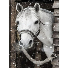 Load image into Gallery viewer, Horse  - Full Drill Round Drill - 30x40cm
