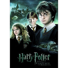Load image into Gallery viewer, Harry Potter  - Full Drill Round Drill - 30x40cm
