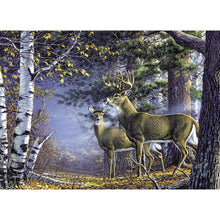 Load image into Gallery viewer, Deer Nature  - Full Drill Round Drill - 40x30cm
