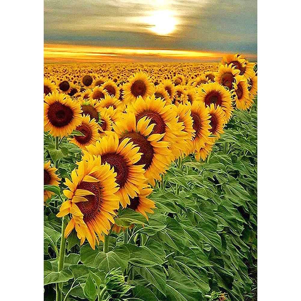 Sunflower  - Full Drill Round Drill - 30x40cm