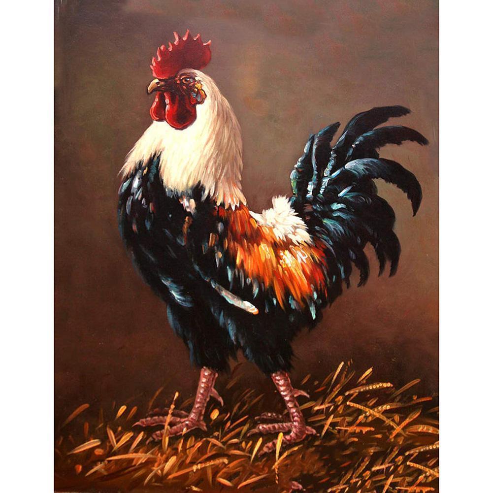 Rooster  - Full Drill Round Drill - 30x40cm
