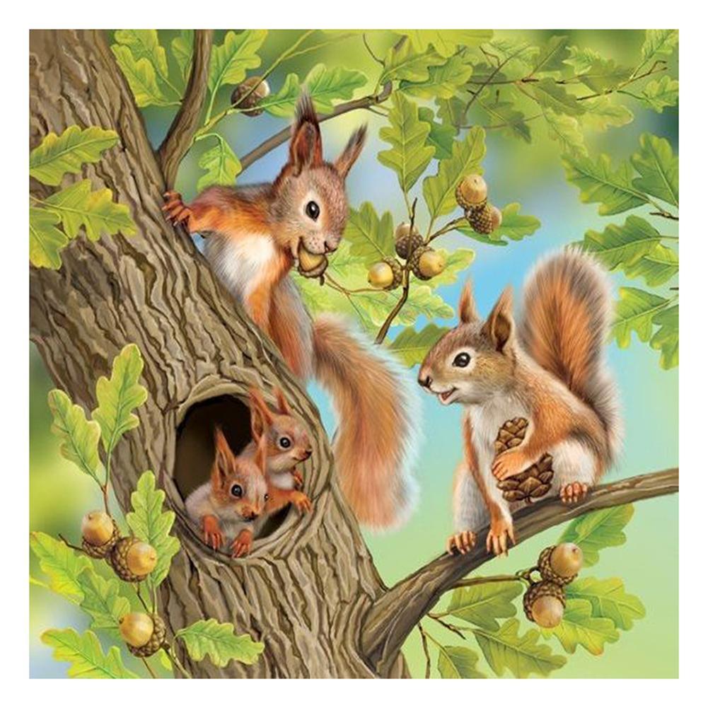 Squirrel  - Full Drill Round Drill - 30x30cm