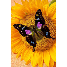 Load image into Gallery viewer, Butterfly  - Full Drill Round Drill - 30x40cm
