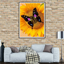 Load image into Gallery viewer, Butterfly  - Full Drill Round Drill - 30x40cm
