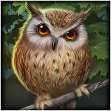 Load image into Gallery viewer, Gloryart Owl  - Full Drill Round Drill - 30x30cm
