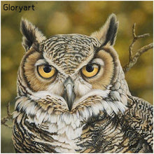 Load image into Gallery viewer, Gloryart Owl  - Full Drill Round Drill - 30x30cm
