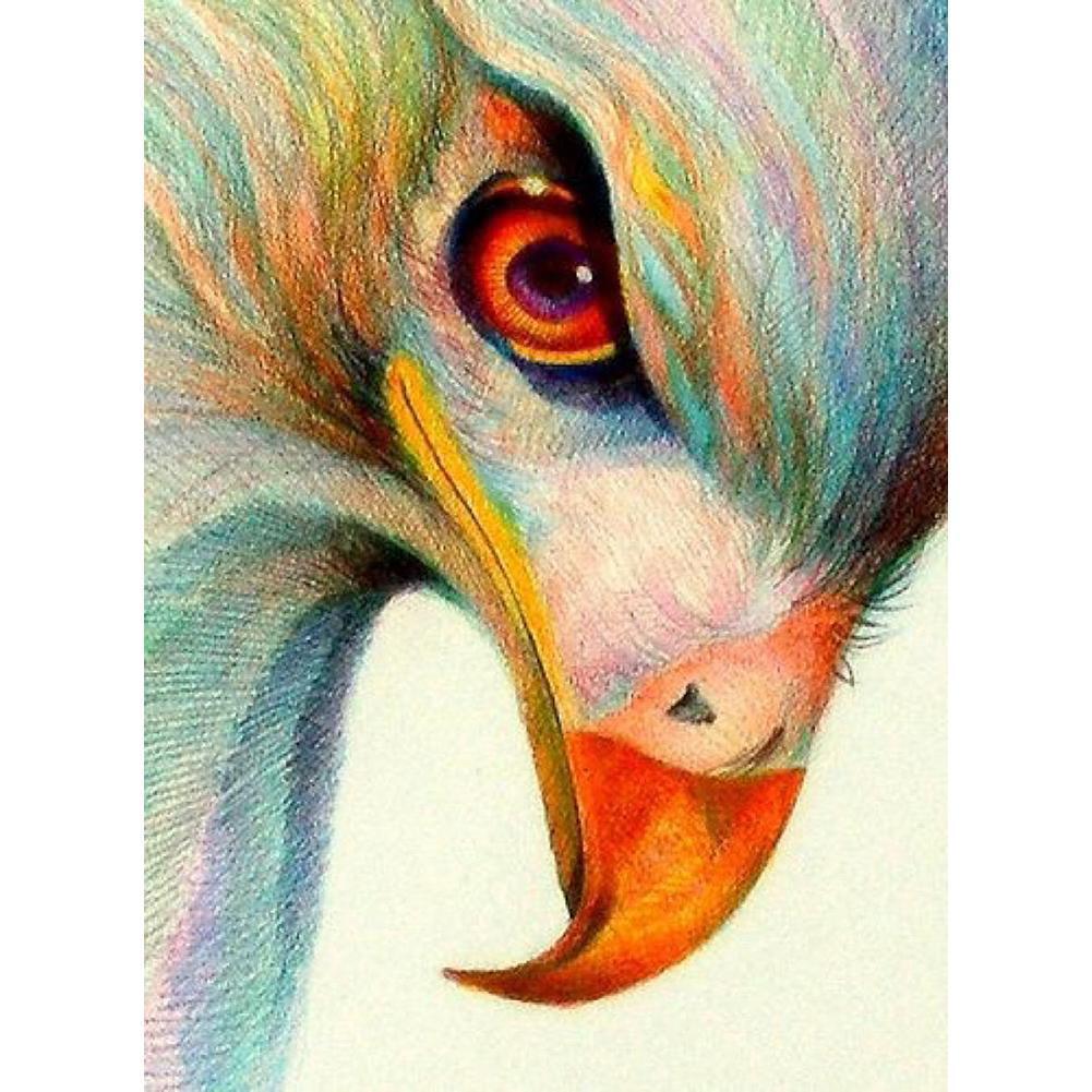 Eagle  - Full Drill Round Drill - 30x40cm