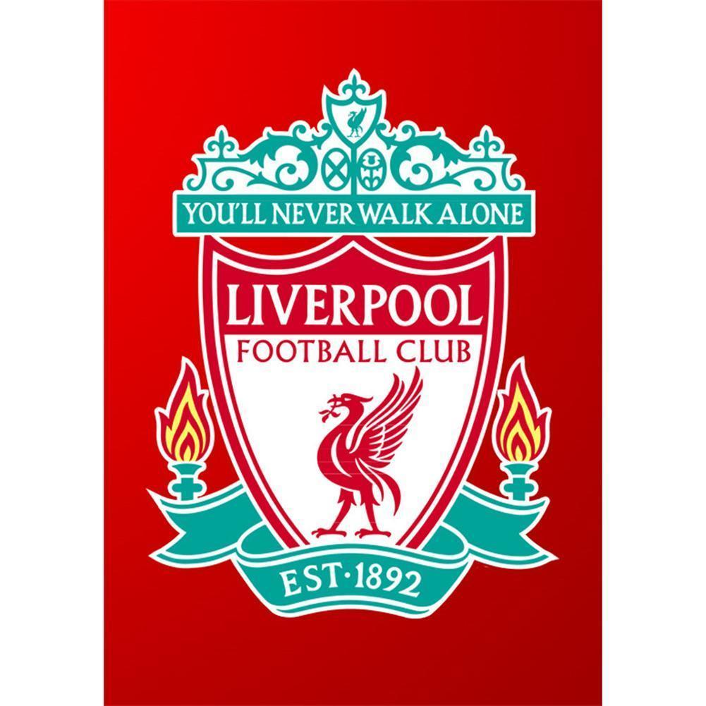 Liverpool - Full Drill Round Drill - 30x40cm