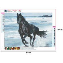 Load image into Gallery viewer, Animal Portraits  - Full Diamond Painting - 40x30cm
