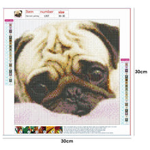 Load image into Gallery viewer, Dog  - Full Drill Round Drill - 30x30cm
