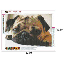 Load image into Gallery viewer, Dog  - Full Drill Round Drill - 40x30cm
